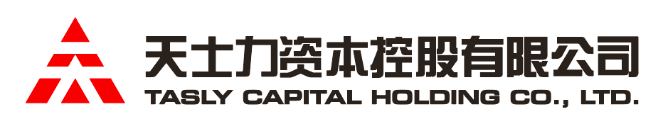 PP电子资本控股有限公司